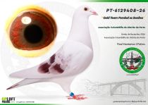 PT-6129408-26