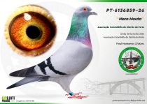 PT-6136859-26