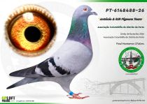 PT-6148488-26