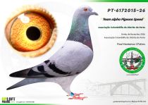 PT-6172015-26