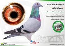 PT-6214220-26