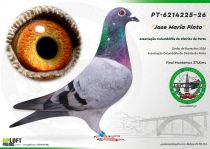 PT-6214225-26