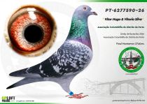 PT-6277590-26