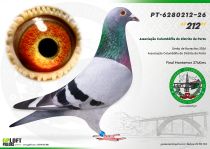 PT-6280212-26