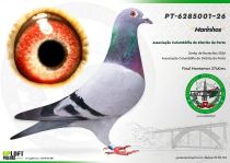 PT-6285001-26