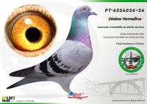 PT-6324026-26