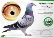 PT-6370785-26