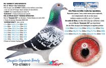 PT21-1270805