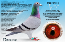 PT23-3127936