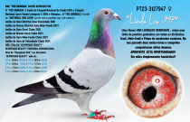 PT23-3127947