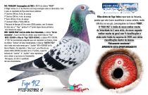 PT23-3127952