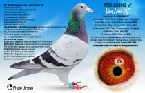 PT23-3128012