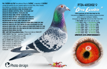 PT24-4053102