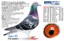 PT24-4059002