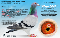 PT24-4059010
