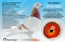 PT24-4059027