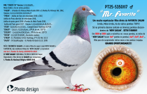 PT25-5350117