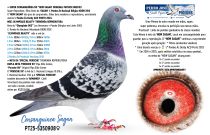 PT25-5350908