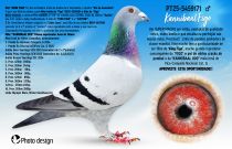 PT25-5459171