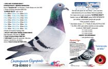 PT26-6019010