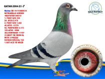 QA-2004-23