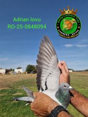 RO-25-0848094