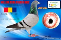 RO26-19340