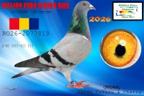 RO26-2077819