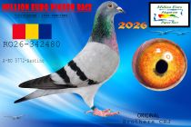 RO26-342480