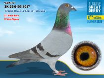 SK-25-0105-1017