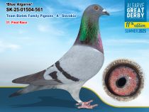 SK-25-01504-561