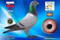 SK26-201-936
