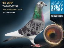 TH-2026-35299