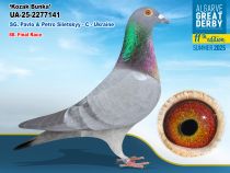 UA-25-2277141