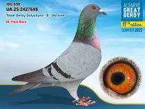 UA-25-2427698