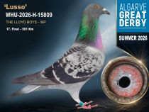 WHU-2026-H-15809